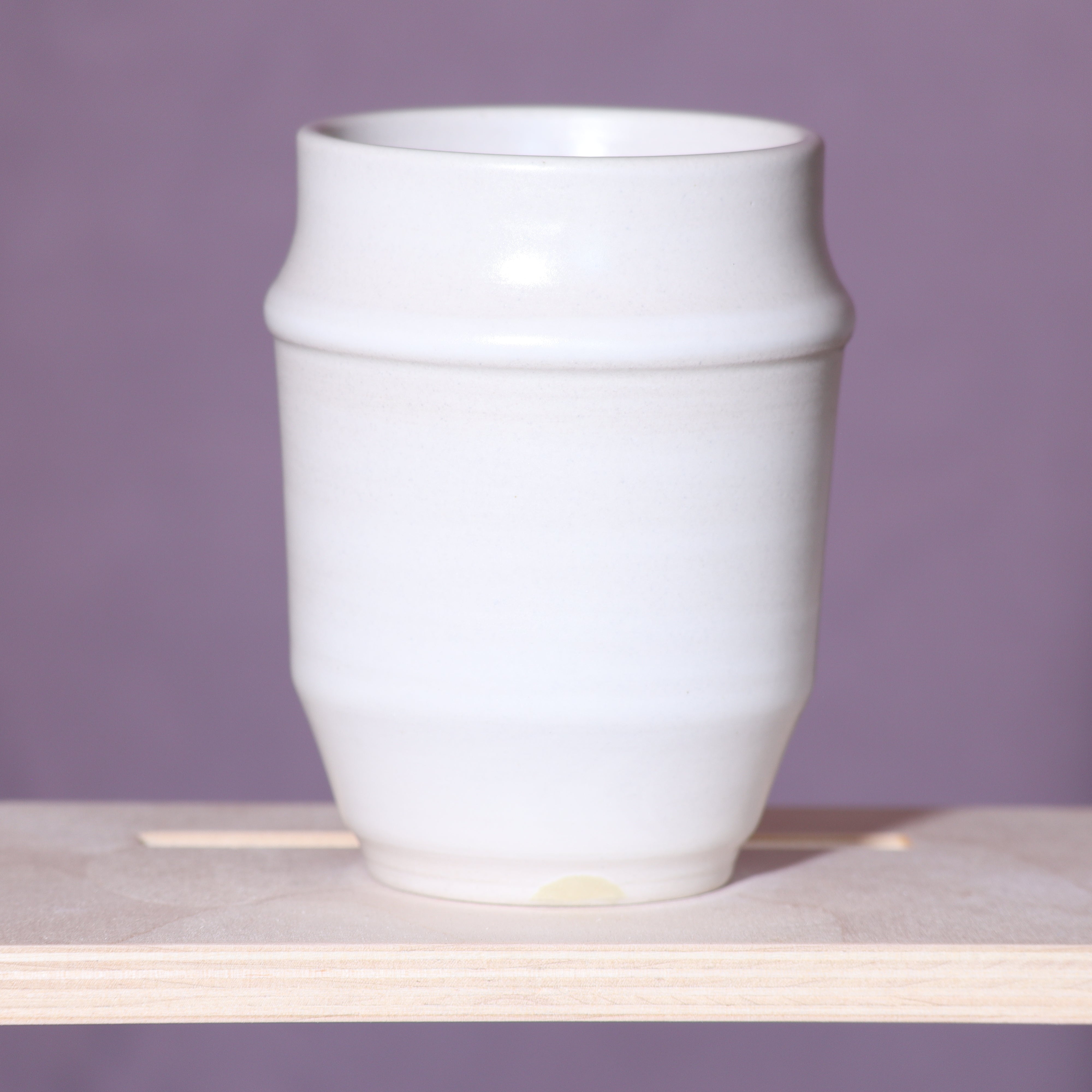 Double Wall Insulated Ceramic Mug 168